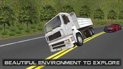 Cargo Trailer Driving Simulation: Delivery Truck screenshot 2