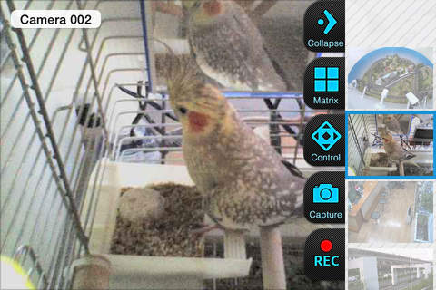 IP Cam Soft screenshot 3