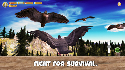 Wild Pigeon Simulator Full screenshot 4