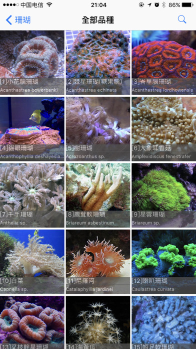 Coral Reefs Bible screenshot 2
