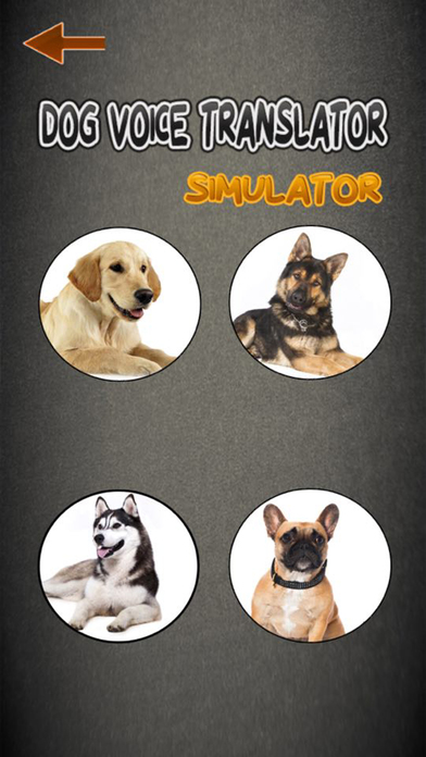 Dog Voice Translator Simulator screenshot 4