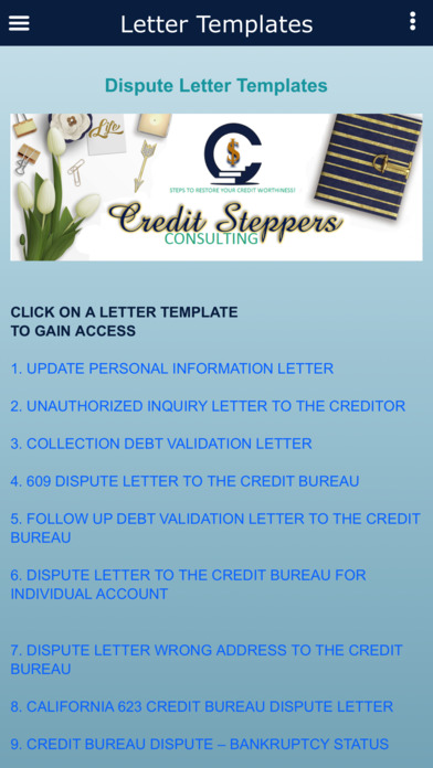 Credit Steppers Consulting screenshot 3