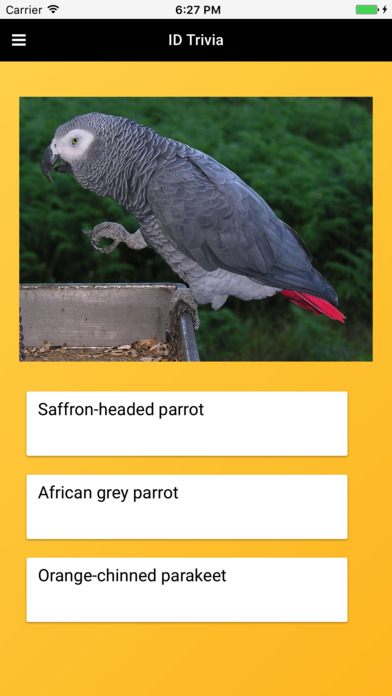 Parrot Species Bible screenshot 4