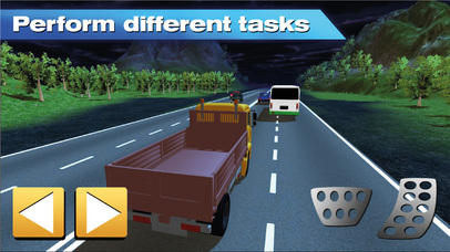 Night Truck Voyage Driver 3D screenshot 2