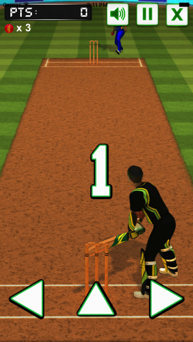 板球防守大作战－热门单机体育小游戏 screenshot 4