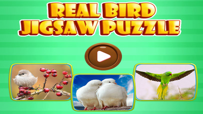 Love Bird Jigsaw Puzzle paradise : Train The Brain screenshot 3