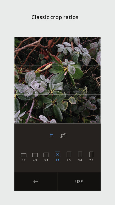 iPhone 屏幕快照 4