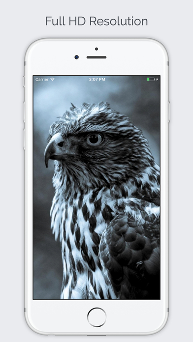 Animal Wallpapers - Full HD Edition screenshot 3