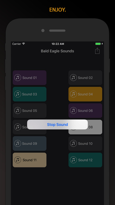 Bald Eagle Sounds screenshot 3