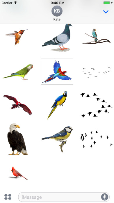 Flock of Birds Stickers screenshot 4