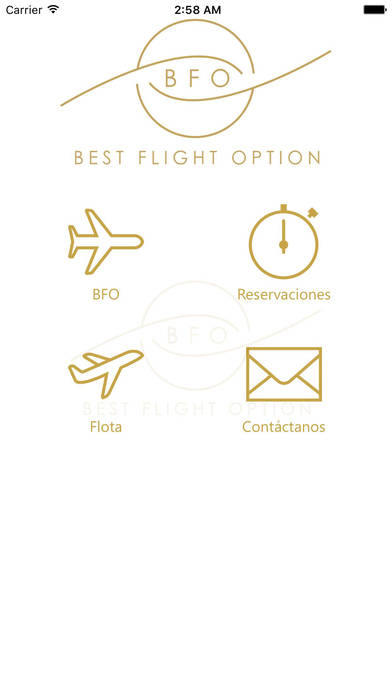 Best Flight Option screenshot 2