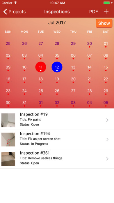 InspectionIdPro screenshot 3