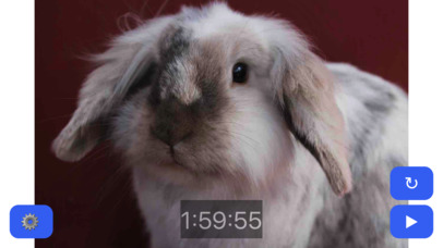 Pet Timer: Cute Bunny, Dog, Cat or Guinea Pig! screenshot 2