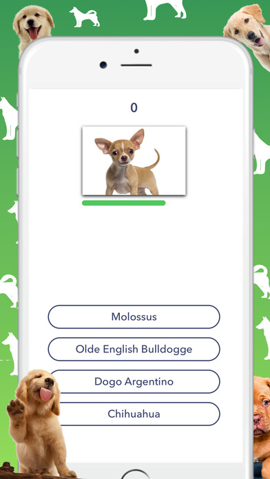 Dog Quiz - Which dog is that? screenshot 3