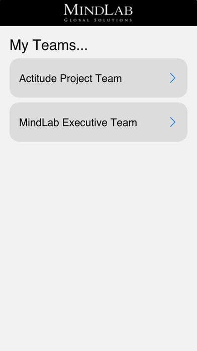 Mindlab Dream Team screenshot 2