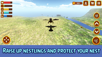 Flying Hummingbird Simulator: Bird Life 3D Full screenshot 3