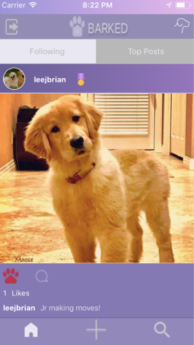 Bark'd - puppy picture sharing screenshot 3