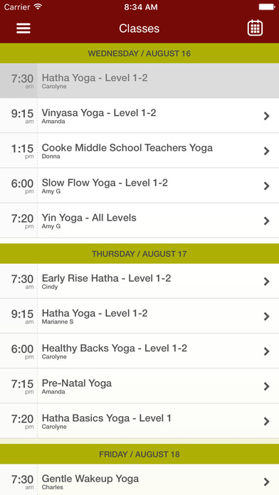 Northville Yoga Center screenshot 3