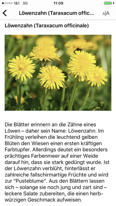 Loewen-Apotheke-Salfer - I. Salfer screenshot 3