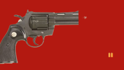 Revolver Shooting screenshot 3