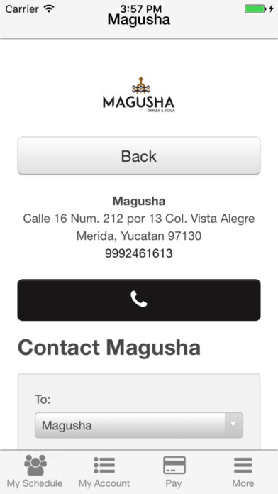 Magusha screenshot 3