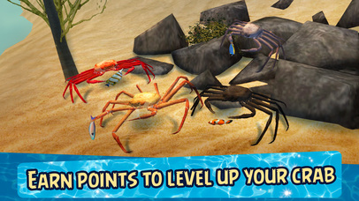 Sea Crab Survival Simulator 3D screenshot 4