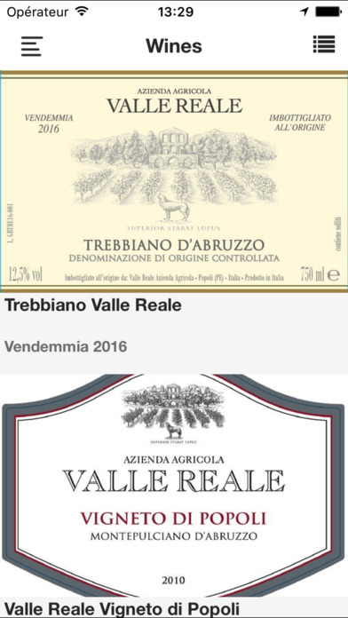 VALLE REALE screenshot 4