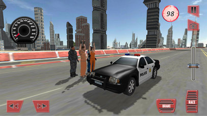 Police Airplane Criminals Fight Transport Sim screenshot 2