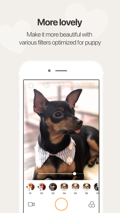 Snapup - The moment with your puppy screenshot 3