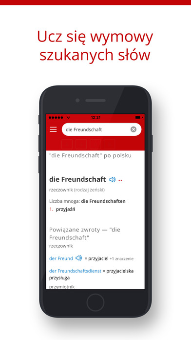 Słownik niemieckiego - Diki screenshot 3