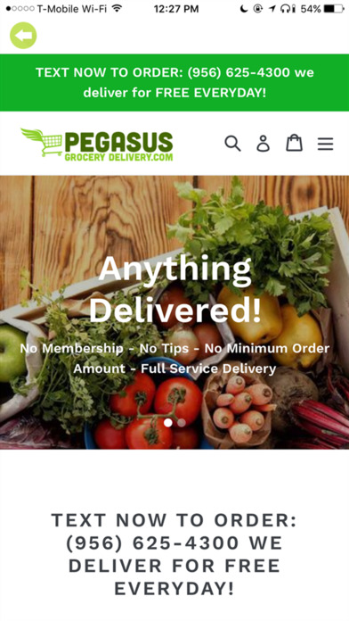 Pegasus Delivery screenshot 2