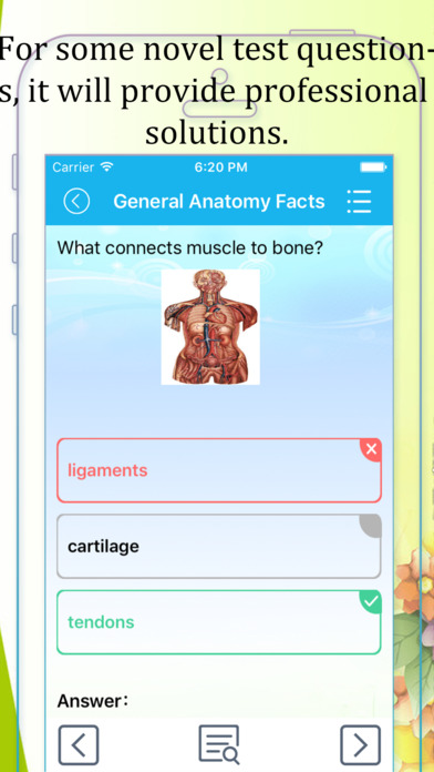 Human Anatomy-Anatomy and Physiology Study screenshot 2