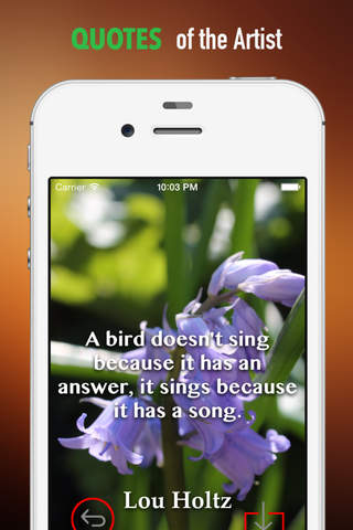 Bluebell Wallpapers HD: Quotes Backgrounds with Art Pictures screenshot 4