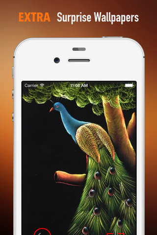 Peacocks Wallpapers HD: Quotes Backgrounds with Art Pictures screenshot 3