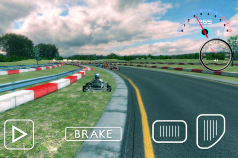 F1 Kart Edition screenshot 4