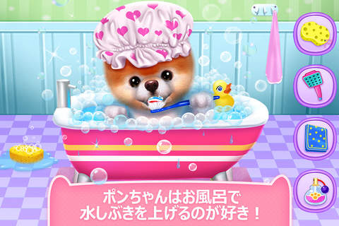 Boo - The World's Cutest Dog Game screenshot 4