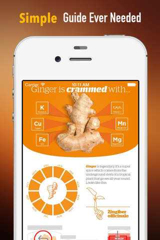 Ginger for Cooking:Recipes,Tips and Uses screenshot 2