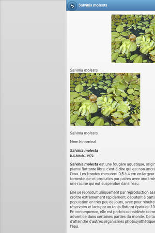 Directory of aquarium plants screenshot 3