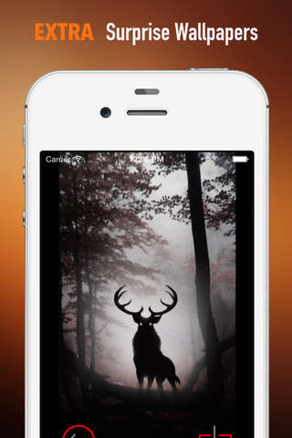 Elk Wallpapers HD: Quotes Backgrounds with Art Pictures screenshot 3