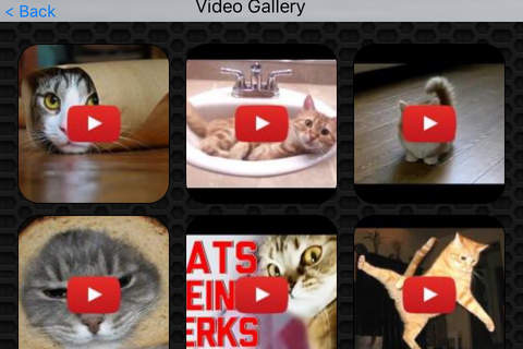 Pet Photos and Videos FREE | Loyal friends of human kind screenshot 2