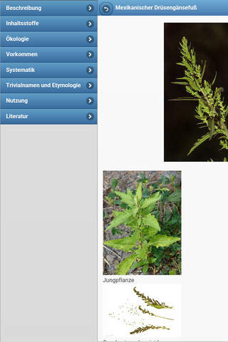 Medicinal herbs screenshot 3