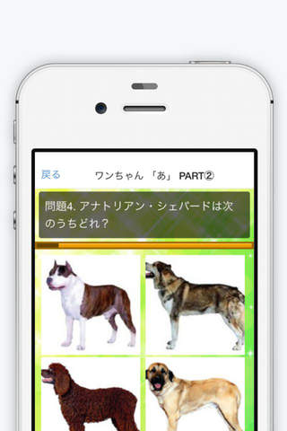 犬クイズ＆犬図鑑 screenshot 2