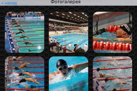 Swimming Photos & Videos FREE |  Amazing 318 Videos and 34 Photos | Watch and learn screenshot 4