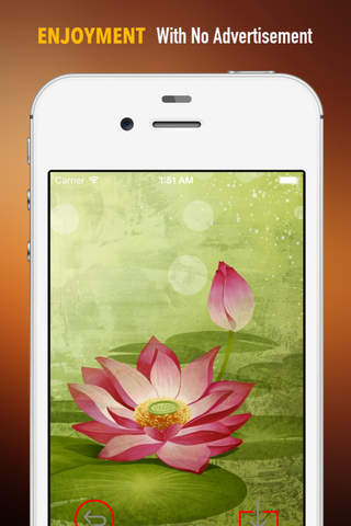 Lotus Wallpapers HD: Quotes Backgrounds with Art Pictures screenshot 2