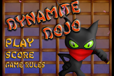 Dynamite Dojo screenshot 3
