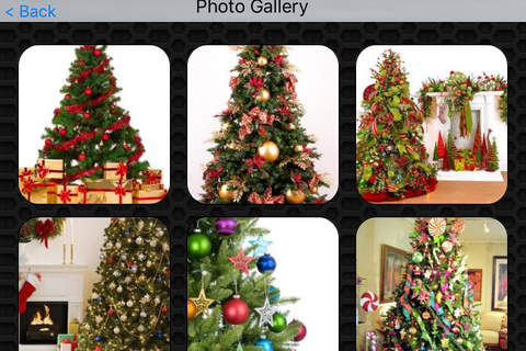 Inspiring Christmas Decoration Ideas Photos and Videos Premium screenshot 4