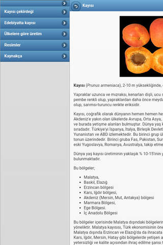Directory of fruit screenshot 3