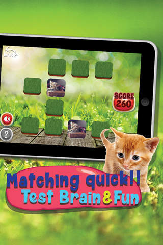 Memories Matching Kitty : Cat Lover Educational Game For Kids Free screenshot 2