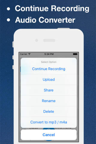 Audio Recorder Pro and Editor screenshot 3