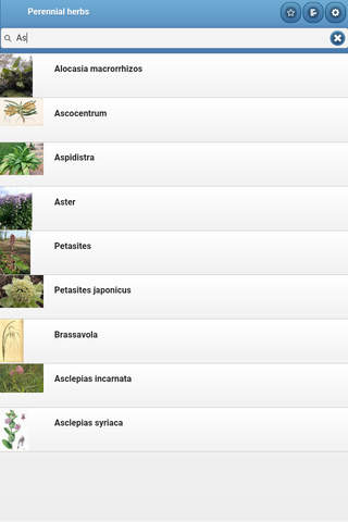 Perennial herbs screenshot 4
